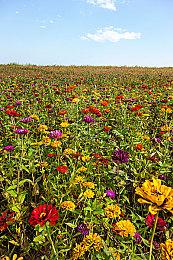 数据统计：《霍格沃茨之遗》为英美第一季度最卖座游戏